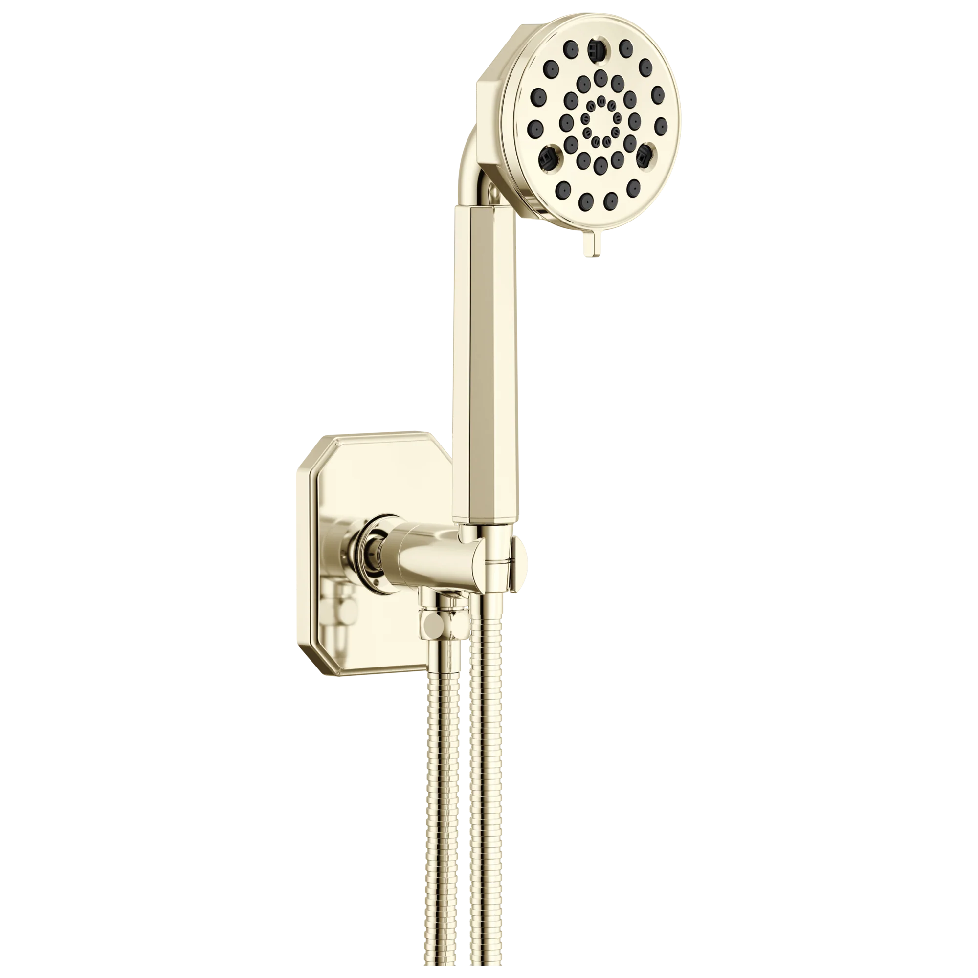 Brizo Beauclere 88865 Multi-Function Wall Mount Hand Shower - Image 3