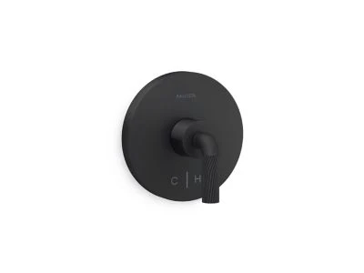 Kallista P40881-LV One Armory Thermo Trim - Image 3