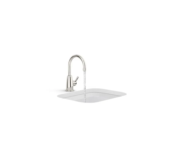KOHLER K-6665-AG Wellspring Beverage faucet - Image 5