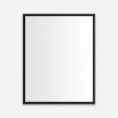 Robern Main Line Mirror, 24" x 30" x 1-3/8", Rosemont Frame